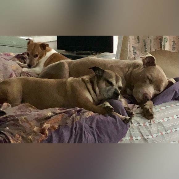 🫧🍄L.  I.  V.  E.🍄🫧 - Picture 3 of 9